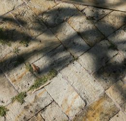Premium Natural Stone Flooring and Wayfinding Systems for Luxury Hotel and Villa Courtyards: Design and Supply Guide